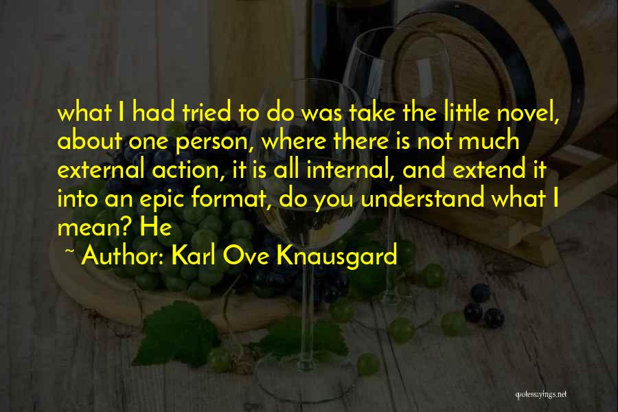 Karl Ove Knausgard Quotes: What I Had Tried To Do Was Take The Little Novel, About One Person, Where There Is Not Much External