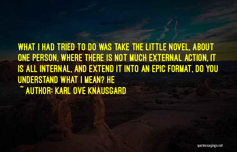 Karl Ove Knausgard Quotes: What I Had Tried To Do Was Take The Little Novel, About One Person, Where There Is Not Much External