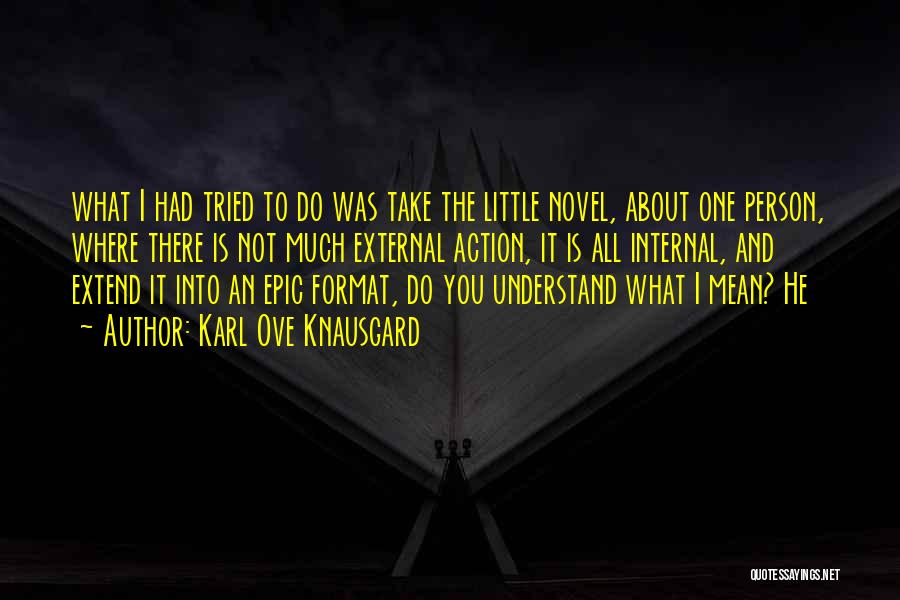 Karl Ove Knausgard Quotes: What I Had Tried To Do Was Take The Little Novel, About One Person, Where There Is Not Much External