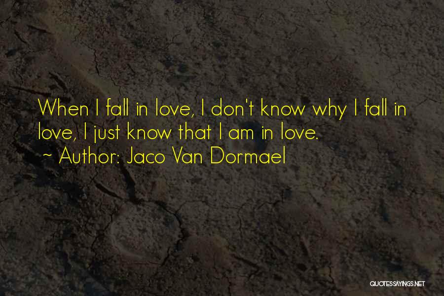 Jaco Van Dormael Quotes: When I Fall In Love, I Don't Know Why I Fall In Love, I Just Know That I Am In