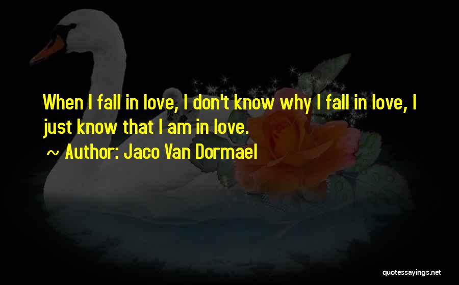 Jaco Van Dormael Quotes: When I Fall In Love, I Don't Know Why I Fall In Love, I Just Know That I Am In