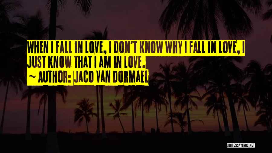 Jaco Van Dormael Quotes: When I Fall In Love, I Don't Know Why I Fall In Love, I Just Know That I Am In