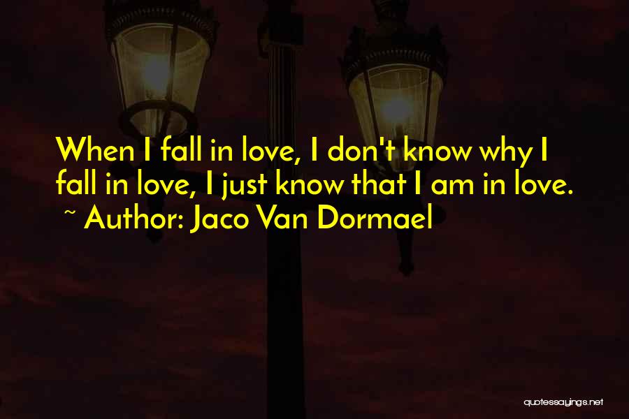 Jaco Van Dormael Quotes: When I Fall In Love, I Don't Know Why I Fall In Love, I Just Know That I Am In