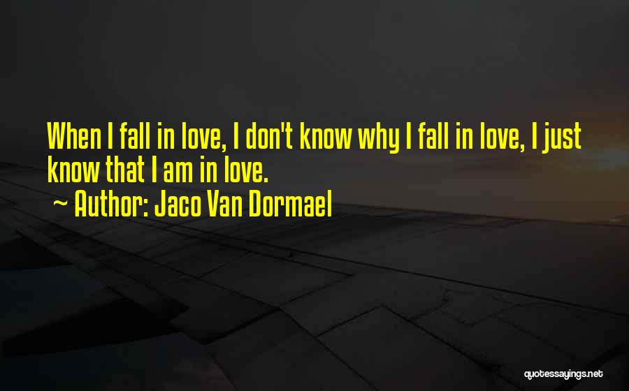 Jaco Van Dormael Quotes: When I Fall In Love, I Don't Know Why I Fall In Love, I Just Know That I Am In