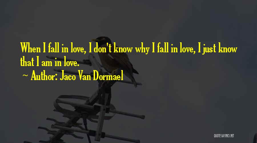 Jaco Van Dormael Quotes: When I Fall In Love, I Don't Know Why I Fall In Love, I Just Know That I Am In