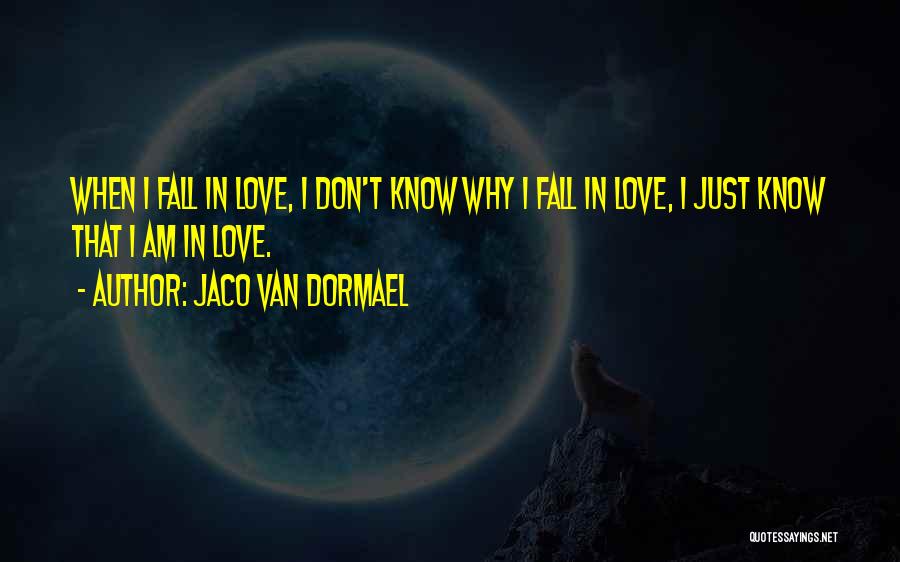 Jaco Van Dormael Quotes: When I Fall In Love, I Don't Know Why I Fall In Love, I Just Know That I Am In
