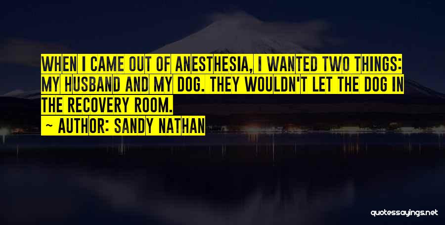 Sandy Nathan Quotes: When I Came Out Of Anesthesia, I Wanted Two Things: My Husband And My Dog. They Wouldn't Let The Dog