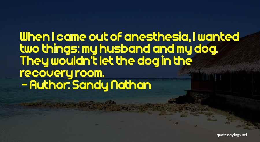 Sandy Nathan Quotes: When I Came Out Of Anesthesia, I Wanted Two Things: My Husband And My Dog. They Wouldn't Let The Dog