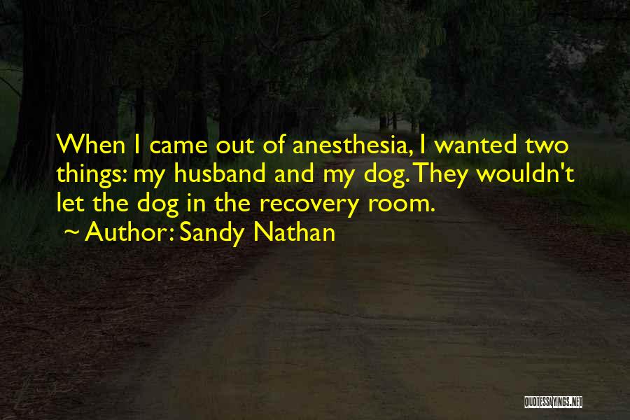 Sandy Nathan Quotes: When I Came Out Of Anesthesia, I Wanted Two Things: My Husband And My Dog. They Wouldn't Let The Dog