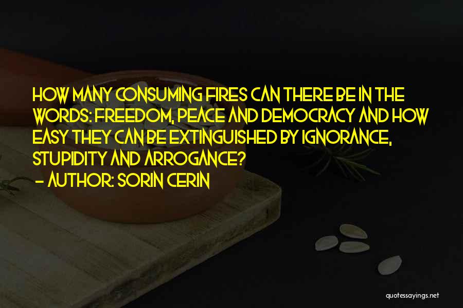 Sorin Cerin Quotes: How Many Consuming Fires Can There Be In The Words: Freedom, Peace And Democracy And How Easy They Can Be