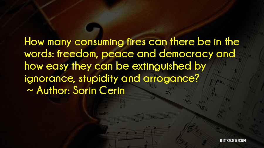 Sorin Cerin Quotes: How Many Consuming Fires Can There Be In The Words: Freedom, Peace And Democracy And How Easy They Can Be