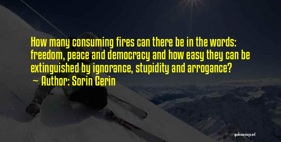 Sorin Cerin Quotes: How Many Consuming Fires Can There Be In The Words: Freedom, Peace And Democracy And How Easy They Can Be