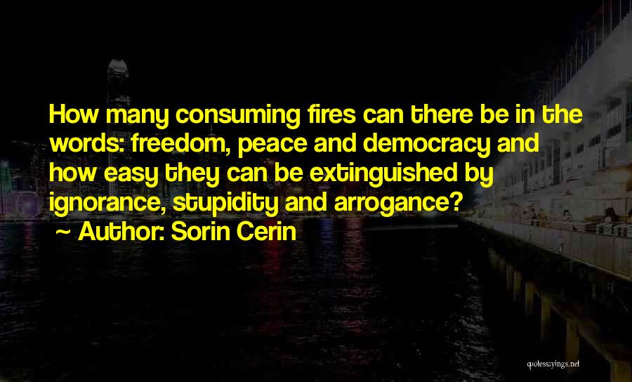 Sorin Cerin Quotes: How Many Consuming Fires Can There Be In The Words: Freedom, Peace And Democracy And How Easy They Can Be