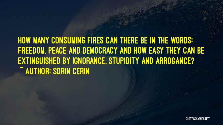 Sorin Cerin Quotes: How Many Consuming Fires Can There Be In The Words: Freedom, Peace And Democracy And How Easy They Can Be