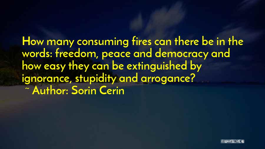 Sorin Cerin Quotes: How Many Consuming Fires Can There Be In The Words: Freedom, Peace And Democracy And How Easy They Can Be