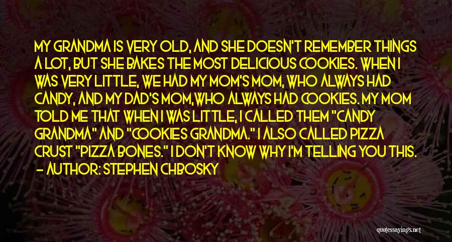 Stephen Chbosky Quotes: My Grandma Is Very Old, And She Doesn't Remember Things A Lot, But She Bakes The Most Delicious Cookies. When