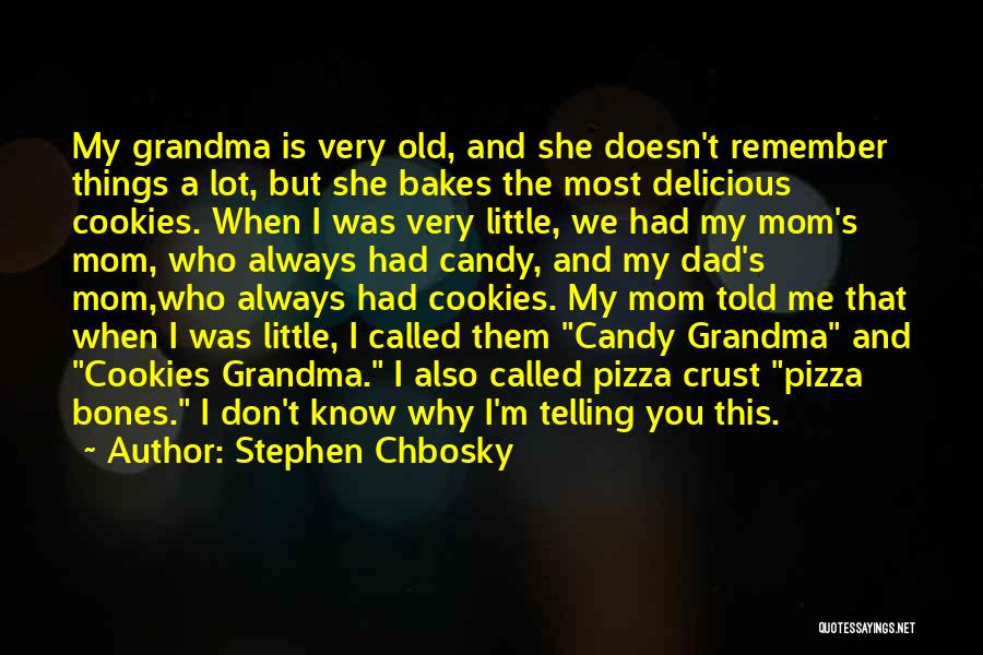 Stephen Chbosky Quotes: My Grandma Is Very Old, And She Doesn't Remember Things A Lot, But She Bakes The Most Delicious Cookies. When