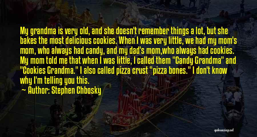 Stephen Chbosky Quotes: My Grandma Is Very Old, And She Doesn't Remember Things A Lot, But She Bakes The Most Delicious Cookies. When