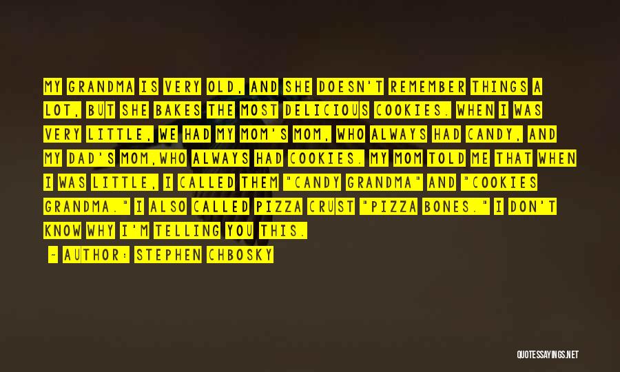 Stephen Chbosky Quotes: My Grandma Is Very Old, And She Doesn't Remember Things A Lot, But She Bakes The Most Delicious Cookies. When