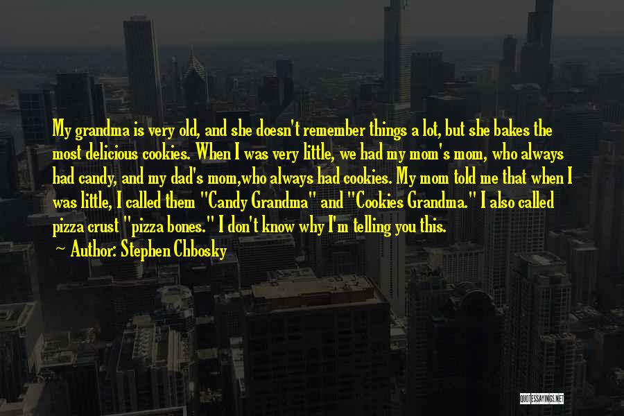 Stephen Chbosky Quotes: My Grandma Is Very Old, And She Doesn't Remember Things A Lot, But She Bakes The Most Delicious Cookies. When