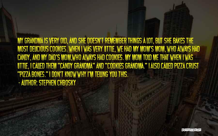 Stephen Chbosky Quotes: My Grandma Is Very Old, And She Doesn't Remember Things A Lot, But She Bakes The Most Delicious Cookies. When