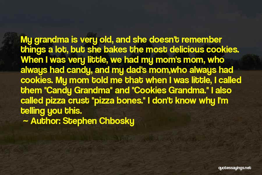 Stephen Chbosky Quotes: My Grandma Is Very Old, And She Doesn't Remember Things A Lot, But She Bakes The Most Delicious Cookies. When