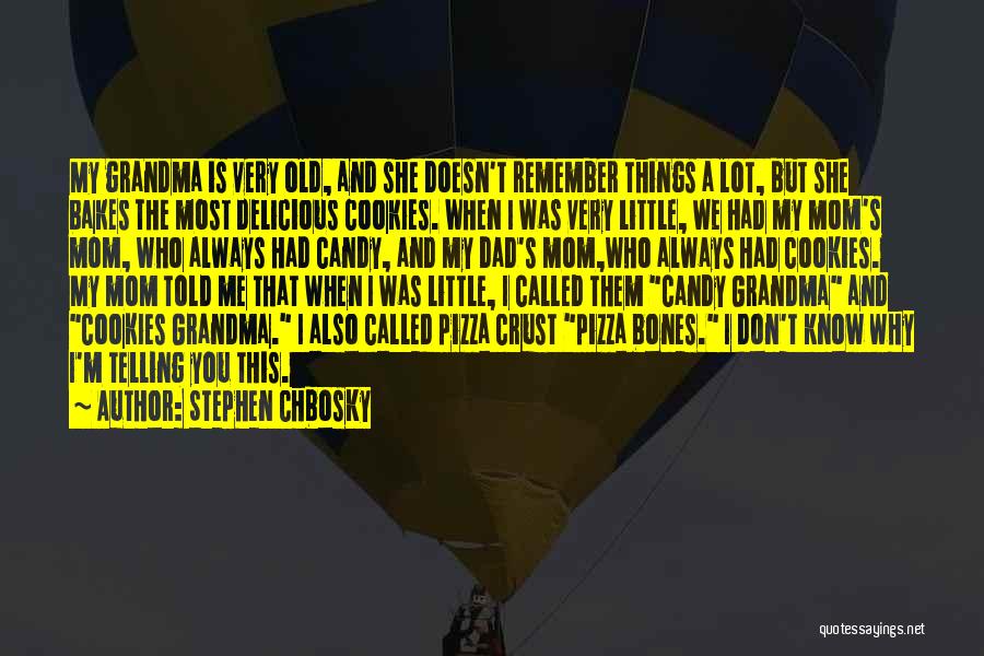 Stephen Chbosky Quotes: My Grandma Is Very Old, And She Doesn't Remember Things A Lot, But She Bakes The Most Delicious Cookies. When