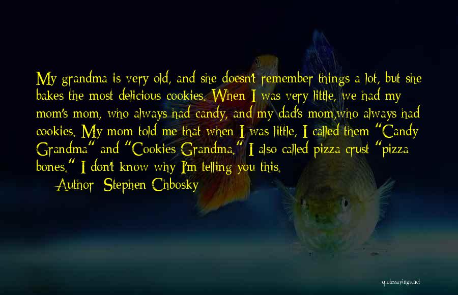 Stephen Chbosky Quotes: My Grandma Is Very Old, And She Doesn't Remember Things A Lot, But She Bakes The Most Delicious Cookies. When