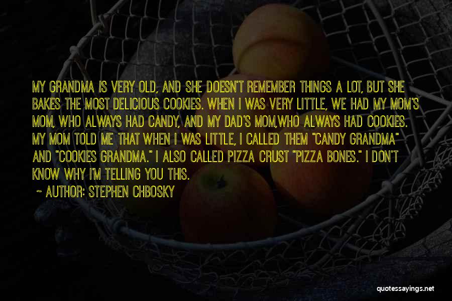 Stephen Chbosky Quotes: My Grandma Is Very Old, And She Doesn't Remember Things A Lot, But She Bakes The Most Delicious Cookies. When