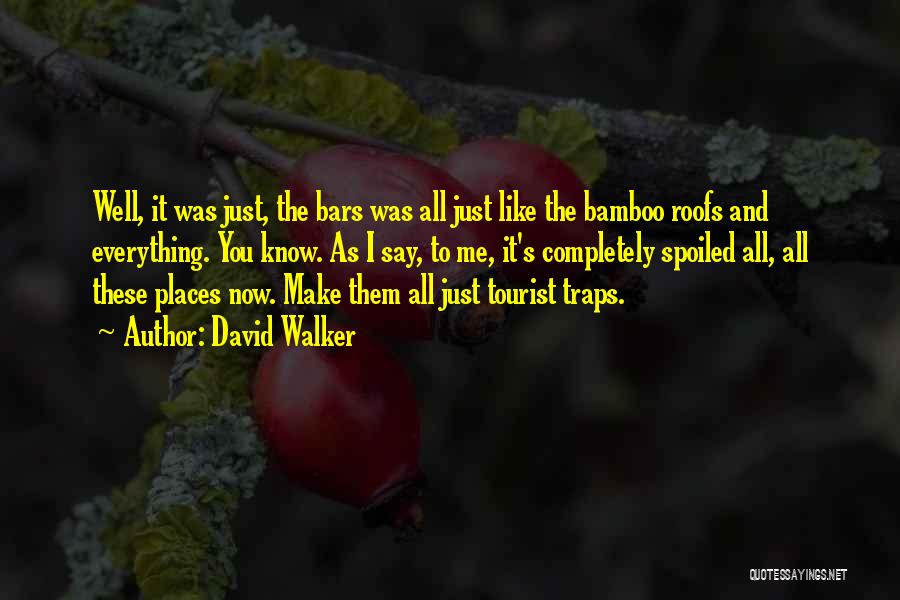 David Walker Quotes: Well, It Was Just, The Bars Was All Just Like The Bamboo Roofs And Everything. You Know. As I Say,