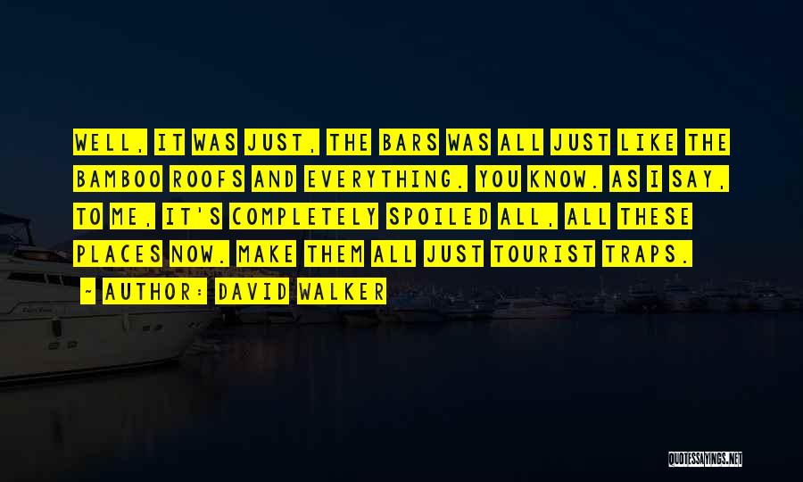 David Walker Quotes: Well, It Was Just, The Bars Was All Just Like The Bamboo Roofs And Everything. You Know. As I Say,