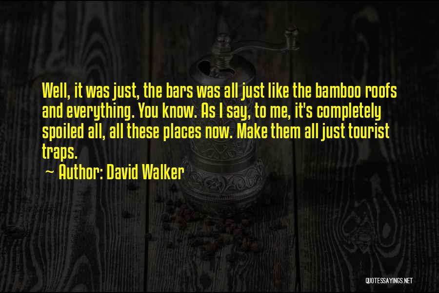 David Walker Quotes: Well, It Was Just, The Bars Was All Just Like The Bamboo Roofs And Everything. You Know. As I Say,