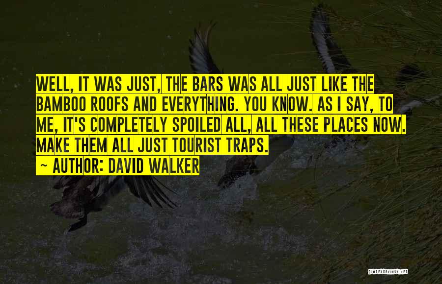 David Walker Quotes: Well, It Was Just, The Bars Was All Just Like The Bamboo Roofs And Everything. You Know. As I Say,