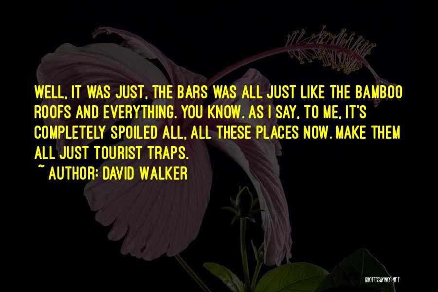 David Walker Quotes: Well, It Was Just, The Bars Was All Just Like The Bamboo Roofs And Everything. You Know. As I Say,