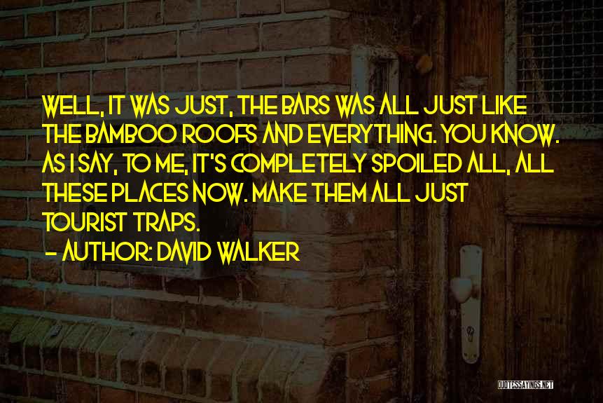 David Walker Quotes: Well, It Was Just, The Bars Was All Just Like The Bamboo Roofs And Everything. You Know. As I Say,