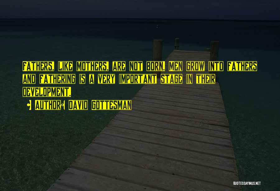 David Gottesman Quotes: Fathers, Like Mothers, Are Not Born. Men Grow Into Fathers And Fathering Is A Very Important Stage In Their Development.