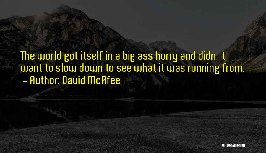 David McAfee Quotes: The World Got Itself In A Big Ass Hurry And Didn't Want To Slow Down To See What It Was