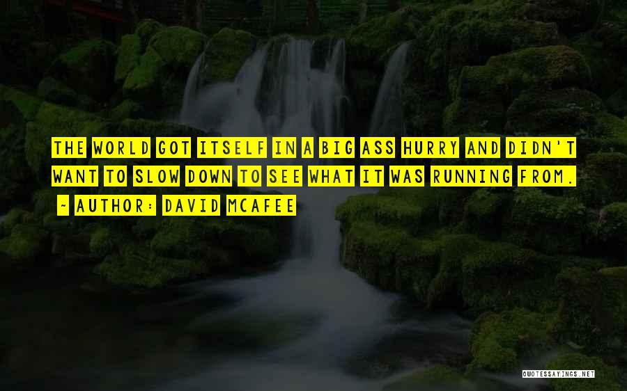 David McAfee Quotes: The World Got Itself In A Big Ass Hurry And Didn't Want To Slow Down To See What It Was