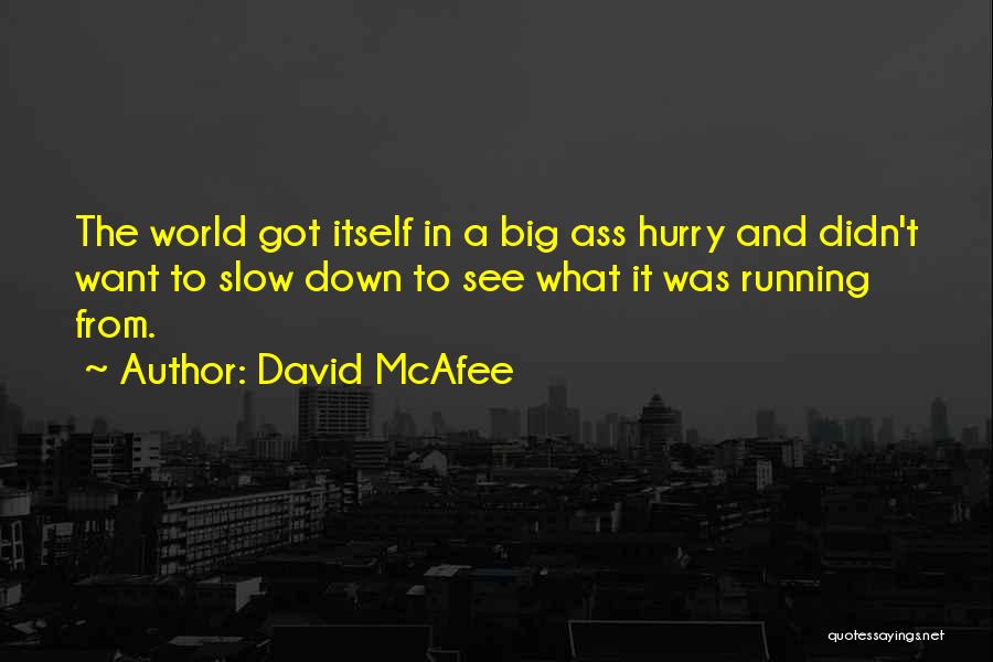 David McAfee Quotes: The World Got Itself In A Big Ass Hurry And Didn't Want To Slow Down To See What It Was