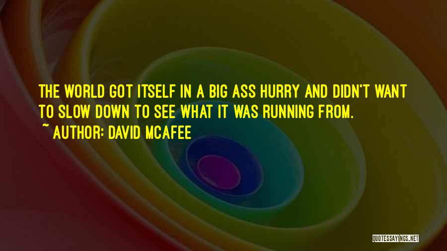 David McAfee Quotes: The World Got Itself In A Big Ass Hurry And Didn't Want To Slow Down To See What It Was