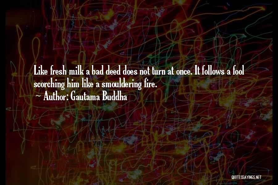 Gautama Buddha Quotes: Like Fresh Milk A Bad Deed Does Not Turn At Once. It Follows A Fool Scorching Him Like A Smouldering