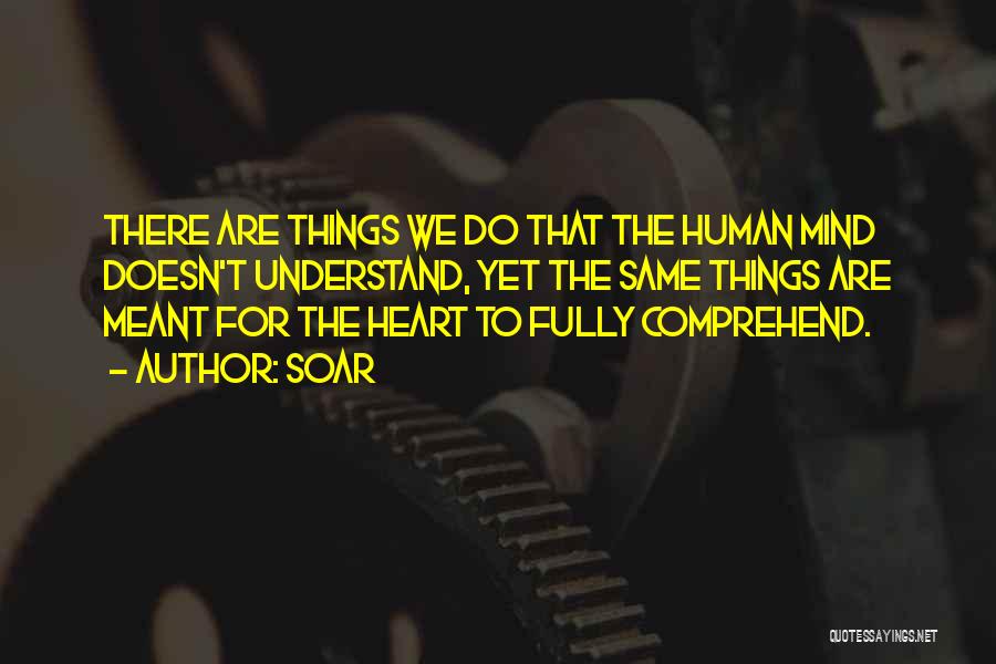 Soar Quotes: There Are Things We Do That The Human Mind Doesn't Understand, Yet The Same Things Are Meant For The Heart