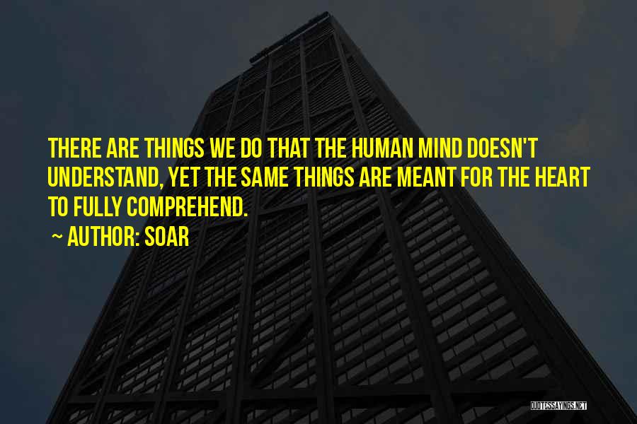 Soar Quotes: There Are Things We Do That The Human Mind Doesn't Understand, Yet The Same Things Are Meant For The Heart