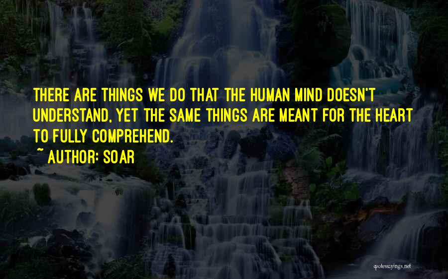 Soar Quotes: There Are Things We Do That The Human Mind Doesn't Understand, Yet The Same Things Are Meant For The Heart