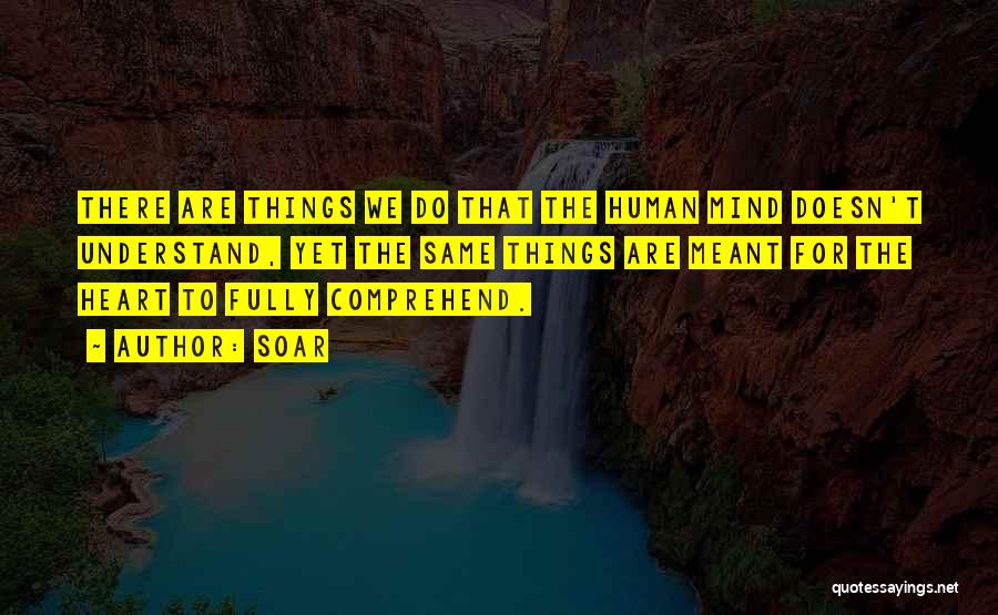 Soar Quotes: There Are Things We Do That The Human Mind Doesn't Understand, Yet The Same Things Are Meant For The Heart