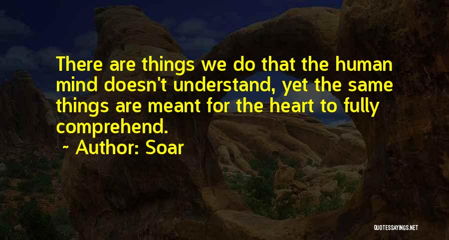 Soar Quotes: There Are Things We Do That The Human Mind Doesn't Understand, Yet The Same Things Are Meant For The Heart