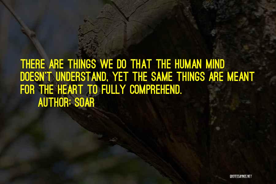 Soar Quotes: There Are Things We Do That The Human Mind Doesn't Understand, Yet The Same Things Are Meant For The Heart