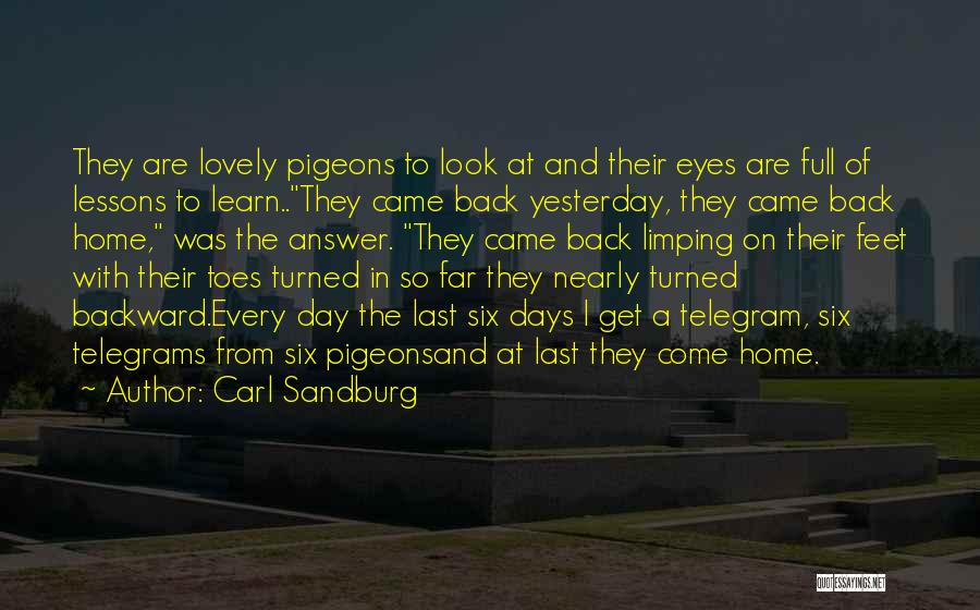 Carl Sandburg Quotes: They Are Lovely Pigeons To Look At And Their Eyes Are Full Of Lessons To Learn..they Came Back Yesterday, They