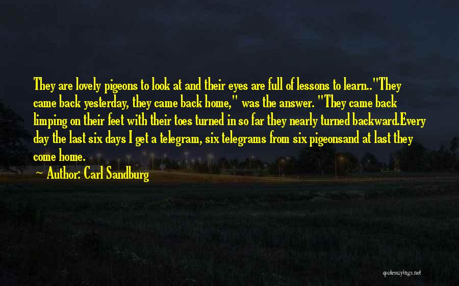 Carl Sandburg Quotes: They Are Lovely Pigeons To Look At And Their Eyes Are Full Of Lessons To Learn..they Came Back Yesterday, They