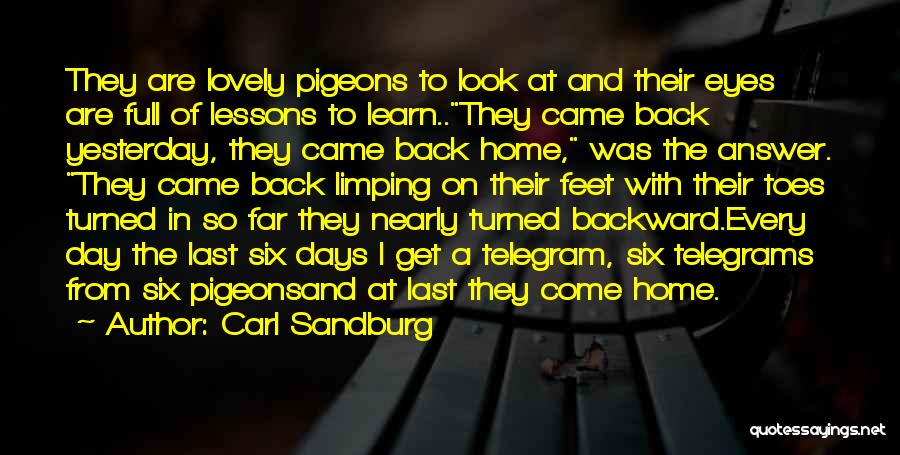 Carl Sandburg Quotes: They Are Lovely Pigeons To Look At And Their Eyes Are Full Of Lessons To Learn..they Came Back Yesterday, They